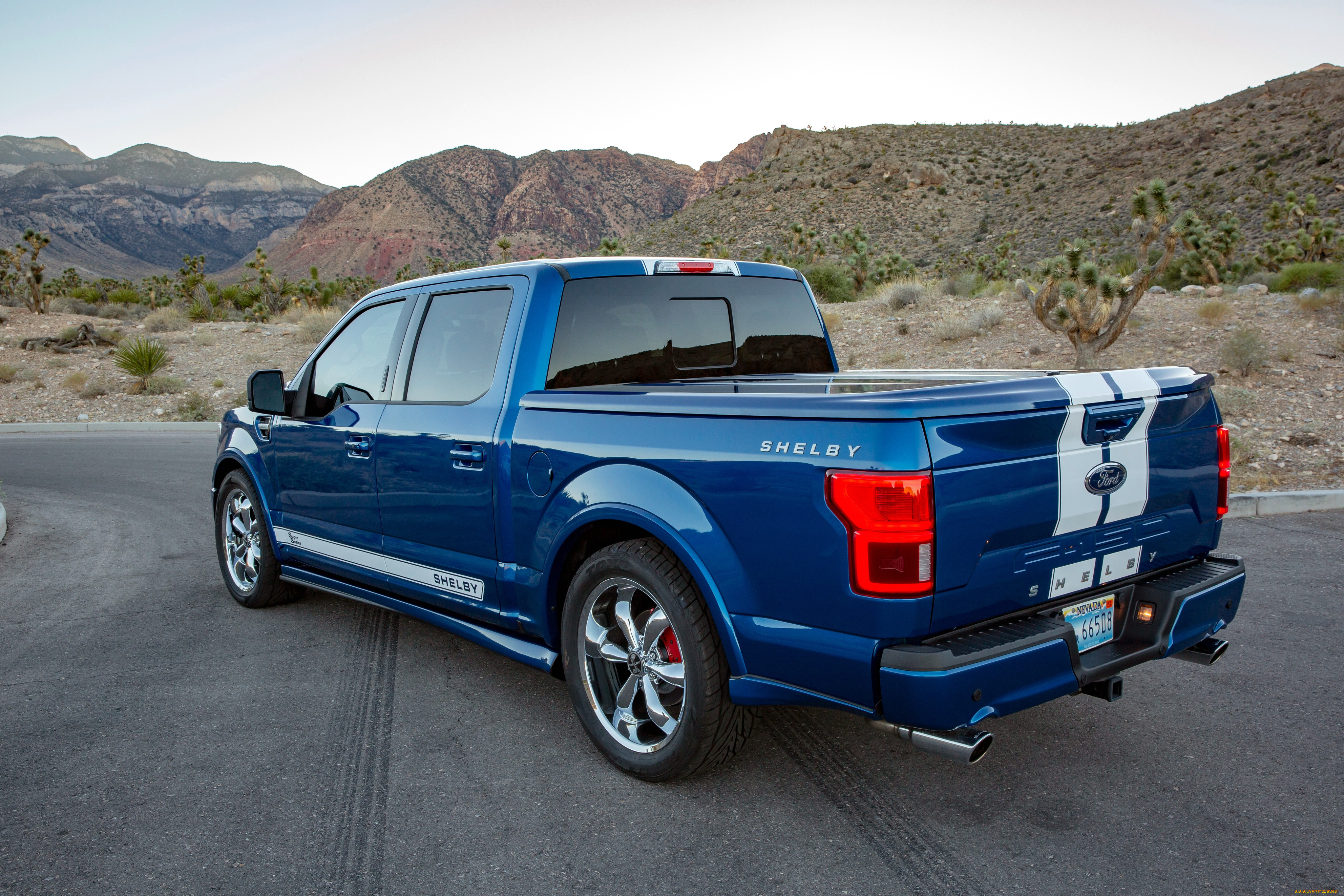 , ford, shelby